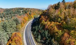 Samsun'un Alaçam ilçesinde Kızlan Yaylası sonbahar renklerine büründü