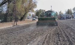 Arpalı’da suni mera tesisi oluşturuldu