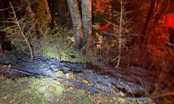 Artvin'de zirai alanda yangın kısa sürede söndürüldü