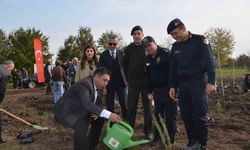 Bafra’da 8 bin fidan toprakla buluştu