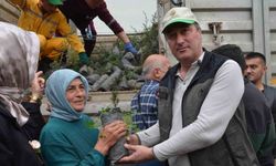 Bafra’da fidan dağıtımı