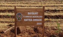 Bayburt emniyetine ait hatıra ormanı oluşturuldu