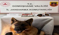 Gümüşhane’de yabancı madde operasyonunda 4 kişi yakalandı
