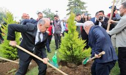 Ordu’da 350 bin fidan toprakla buluşturulacak