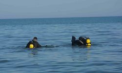 Ordu’da deniz kıyısında kadın cesedi bulundu