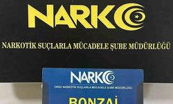 Ordu’da uyuşturucu operasyonları: 5 tutuklama