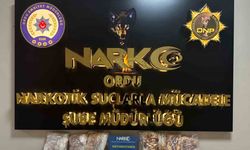 Ordu’da uyuşturucu operasyonlarında 2 tutuklama
