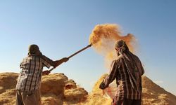 Tarım-GFE yıllık yüzde 34,60 arttı