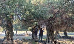 Yıllar Önce Trabzon’dan Adaya Yerleşti; Hayatı Değişti
