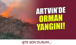 Artvin'de Yangın Ormana Sıçradı! İşte Son Durum...