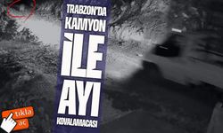 Trabzon’da mahalleliyi canından bezdiren ayı, evin önünde yakalandı: Vatandaş kamyonetiyle kovaladı