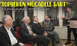 Kahverengi Kokarca Fındıkta Verimi Düşürüyor: Tehlike Büyüyor