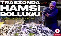 Kar Suyu Hamsiye Lezzet Kattı: Trabzon’da Tuzlama Mevsimi Başladı