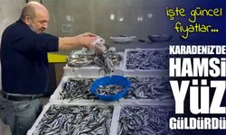 Balıkçı da Halk da Memnun: Rize’de Hamsi Bu Sezon Hem Bol Hem Ucuz