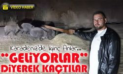 Bayburt’ta gece yarısı domuz paniği: “Geliyorlar” diyerek kaçtılar