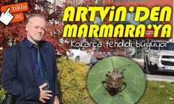 Kahverengi kokarca Artvin’den sonra Bursa’da da görüldü: Tarım arazileri tehdit altında