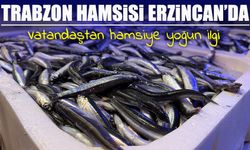 Trabzon’dan gelen taze balıklar Erzincan’da yoğun ilgi görüyor