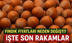 Bugün Fındık Fiyatları Neden Değişti? İşte En Güncel Fiyatlar