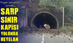 Artvin Sarp Sınır Kapısı yolunda heyelan: Tünel girişi kaya ile kaplandı