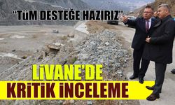 Vali Ergün ve Milletvekili Çelik, Livane Sanayi Sitesi’nde incelemelerde bulundu