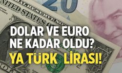 Bugün Dolar ve Euro Ne Kadar Oldu? Türk Lirası Karşısında Hızla Yükselen Kurlar!