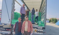 Eynesil’de Kivi Bereketi: Tarım Kredi 26 Ton Ürün Aldı, Fiyatlar Üreticiyi Sevindirdi