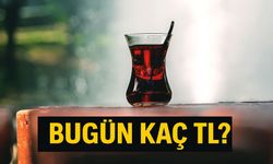 Yaş Çay Fiyatları Bugün Kaç TL Oldu: Üretici Bugün Yaş Çaydan Kaç TL Kazanıyor