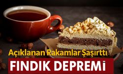 Karadeniz’de Fındık Depremi! Bugün Açıklanan Rakamlar Şaşırttı