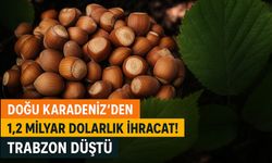 Doğu Karadeniz’den 1,2 Milyar Dolarlık İhracat! Gümüşhane Zirveye Tırmandı, Trabzon Geriledi