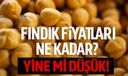 Fındık Fiyatları Ne Kadar? Kilogramda 270 TL Eşiği Aşıldı Mı?