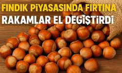 Fındık Piyasasında Fırtına: Bugün Rakamlar El Değiştirdi!