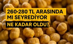 Bugün Fındık Fiyatları Ne Kadar Oldu Fındık Piyasası 260–280 TL Arasında Mı Seyrediyor