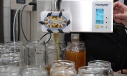 Artvin’de Bal ve Apiterapi Ürünleri Tesisi Açıldı! 5 Ton Kapasiteli Modern Üretim Hattı Hizmete Girdi