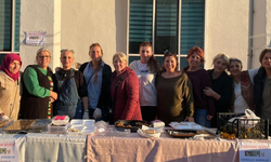 Hopa’da Sokak Hayvanları İçin Dayanışma Kermesi: “Gelir Kulübe ve Mama İçin Kullanılacak”