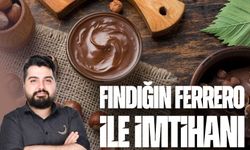 Fındığın Ferrero ile imtihanı: Bereketten bilançoya