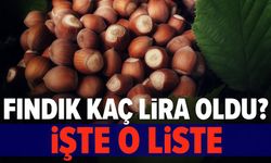Fındık Fiyatları Güncellendi! 2025 Kasım Ayında Fındık Kaç Lira Oldu?