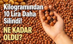Fındık Fiyatları Bugün Ne Kadar Oldu? Kilogramından 10 Lira Daha Silindi!