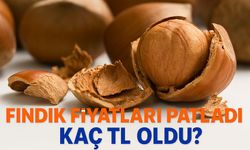 Fındık Fiyatları Patladı: Kilogram Fiyatı Bakın Kaç TL Oldu?