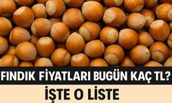 Fındık Fiyatları Bugün Kaç TL? Güncel Liste Açıklandı