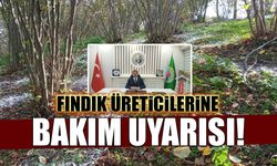 Akçaabat Ziraat Odası Başkanı Eyüpoğlu'ndan fındık üreticilerine bakım uyarısı