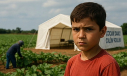 Çocuk işçiliğinde sıfır tolerans: Türkiye’nin yeni nesil mücadele modeli