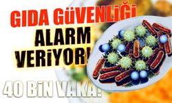 Gıda Güvenliği Alarm Veriyor! 40 Bin Vaka...