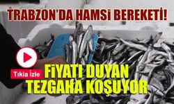 Trabzon'da Hamsi Bereketi! Fiyatı Duyan Tezgaha Koşuyor