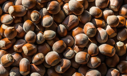 Aylar süren yükselişin ardından fındık piyasasında sert geri çekilme yaşandı