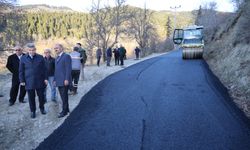 Artvin Valisi Ergün, Ardanuç'ta incelemelerde bulundu