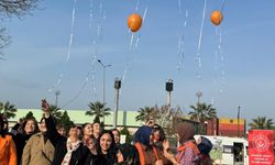 Giresun'da kadına yönelik şiddetle mücadele etkinliği düzenlendi