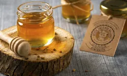 Ordu'dan İngiltere'ye 8,8 ton bal ihraç edildi