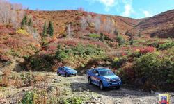 Artvin'de aranan 47 şahıs yakalandı! Devletten kaçamazsınız