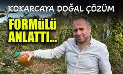 Trabzon'da Kokarcaya Doğal Çözüm! Formülü Anlattı...