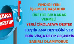 Karadeniz’de Fındığın Tahtı Sarsılıyor! Üretici Artık Alternatif Ürünlere Yöneliyor